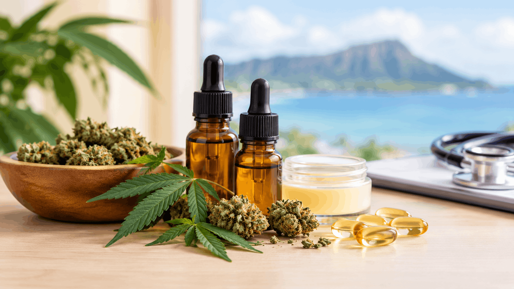 tch-vs-cbd-for-beginners